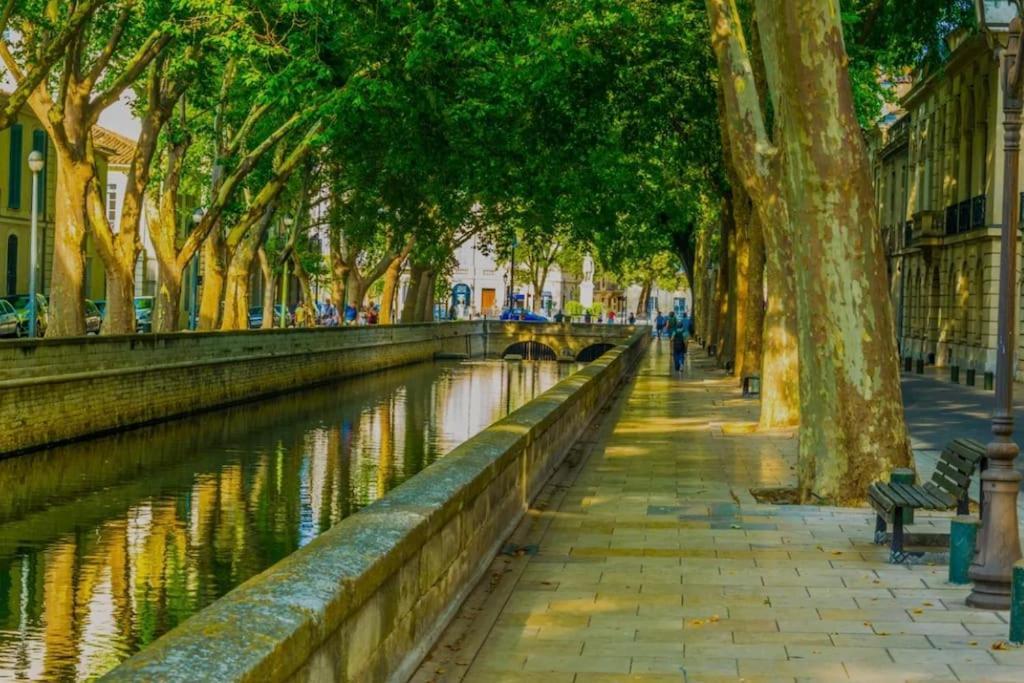 Le Nid Douillet Lägenhet Nîmes Exteriör bild